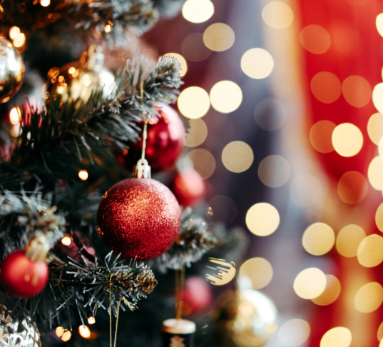 Appel à candidatures NOEL