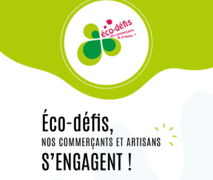 Eco Défi Pays des Ecrins